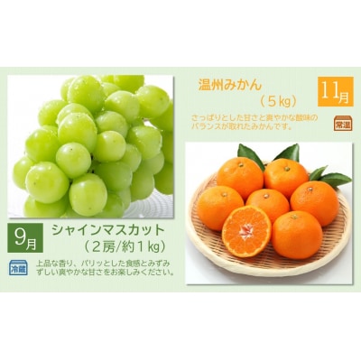 おおいた旬のフルーツ9月から半年間定期便/計4回発送_2553R