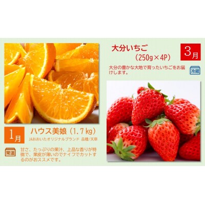 おおいた旬のフルーツ9月から半年間定期便/計4回発送_2553R