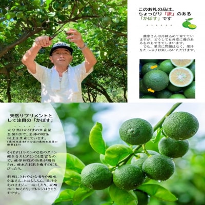 【先行受付】【訳あり】農家直送!竹中農園 かぼす 約3kg_2473R-2
