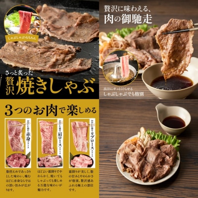 炙ってどうぞ!おおいた和牛の「焼きしゃぶ」3種セットA(計950g)_2501R