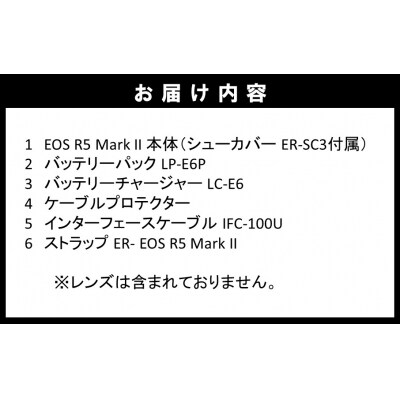 【Canon】 キヤノン ミラーレス カメラ EOS R5 MarkⅡ ボディーのみ_0047C