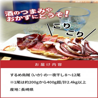 サイズは不揃いでも味は逸品!肉厚するめ烏賊一夜干し2.4㎏_1904R