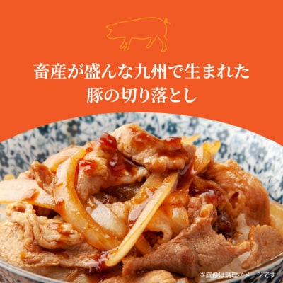 隔月でお届け! 大分県産豚大容量切り落とし定期便 3kg×6回_2554R-2