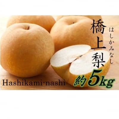 【先行受付】令和7年発送 / 辰口農園の橋上梨約5kg(品種:あきづき)_2431R