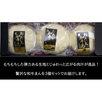 職人手作りの「贅沢おおいた和牛まん」_2562R