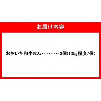 職人手作りの「贅沢おおいた和牛まん」_2562R