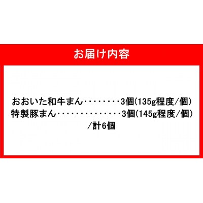 職人手作りの「おおいた和牛まん&特製豚まん 贅沢食べ比べセット」_2563R