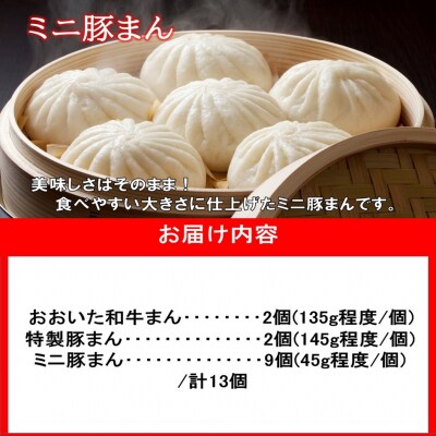職人手作りの「おおいた和牛まん&特製豚まん&ミニ豚まん 贅沢食べ比べセット」_2564R