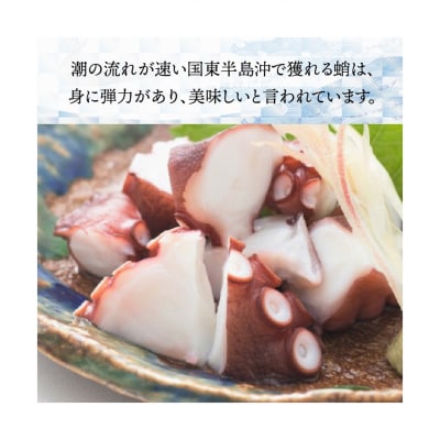 国東半島の天然地だこ 1.5kg_0013N-2