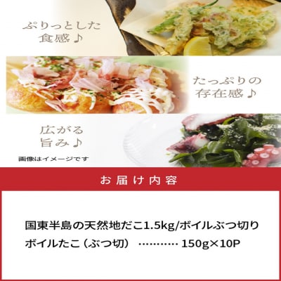 国東半島の天然地だこ 1.5kg_0013N-2