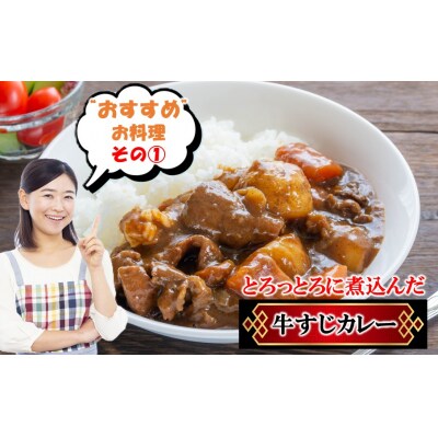 【期間限定 6月30日まで】豊後牛 牛すじ肉 1.0kg (500g×2P)_2591R-1