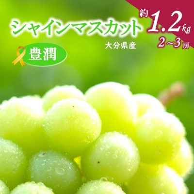 【先行受付】【令和8年出荷】おおいたの豊潤シャインマスカット約1.2kg_2609R