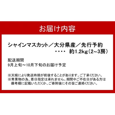 【先行受付】【令和8年出荷】おおいたの豊潤シャインマスカット約1.2kg_2609R