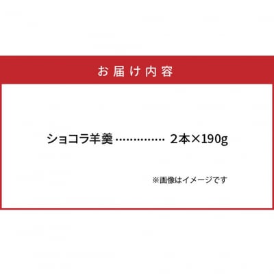 ショコラ羊羹 2本 チョコレート ようかん スイーツ デザート おやつ お菓子_2307R-2