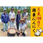 毎日食べて元気モリモリ!国東産乾燥にんにく0.8kg/こだわり減農薬栽培_2610R