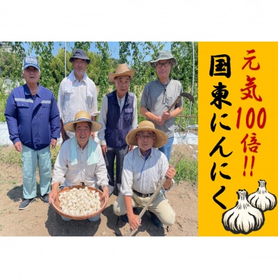 【先行受付】【訳あり】国東産乾燥にんにく/バラ0.8kg/こだわり減農薬栽培_2611R