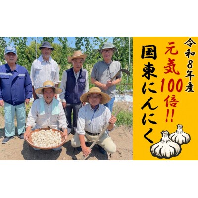 【令和8年産】【訳あり】毎日食べて元気モリモリ!国東産乾燥にんにく/バラ0.8kg_2611R