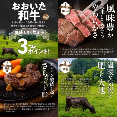 【黒毛和牛】A4～A5等級 おおいた和牛ランプステーキ 800g (200g×4枚)_2373R-3