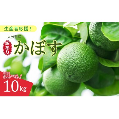 【訳あり】大分県産 露地かぼす 10kg_2612R-3