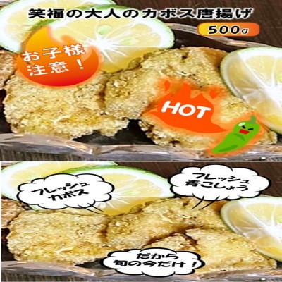 【期間限定】旬の今だけ!大人のカボス唐揚げ&手羽塩ブラックペッパー 計1kg_2617R