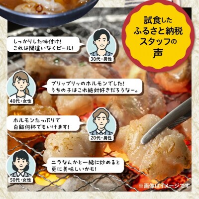 焼肉屋さんの旨とろホルモン 200g×4P (計800g) _2613R