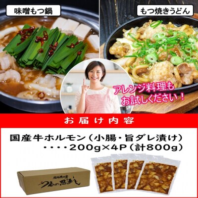 焼肉屋さんの旨とろホルモン 200g×4P (計800g) _2613R