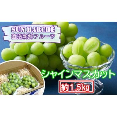 SUNマルシェの直送新鮮フルーツ / シャインマスカット 約1.5kg (3～4房)_2618R