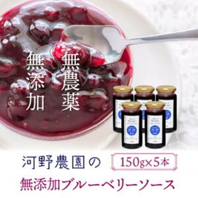 河野農園の無添加ブルーベリーソース150g×5本_1450R