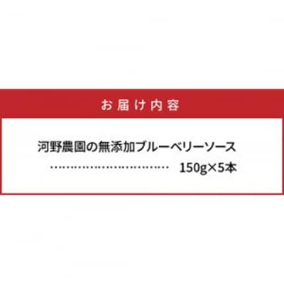 河野農園の無添加ブルーベリーソース150g×5本_1450R