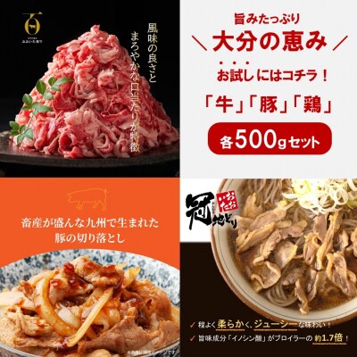 毎日の献立に!おおいたの牛・豚・鶏の各500gセット(計1.5kg)_2573R