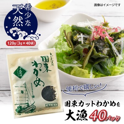 ＼テレビで紹介されました!/便利で嬉しい!国東カットわかめを大漁40パック_0005N