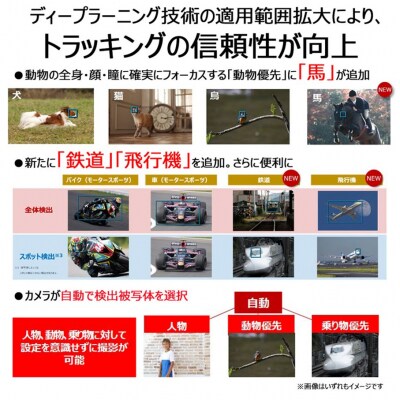 【追加レンズセット】キヤノン カメラ EOS R6 MarkⅡ レンズキット_0055C