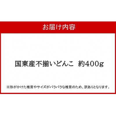 【訳あり】国東産不揃いしいたけ約400g(どんこ)_2634R-1