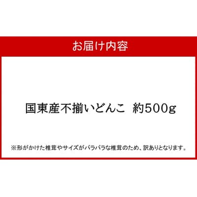【訳あり】国東産不揃いしいたけ約500g(どんこ)_2634R-2