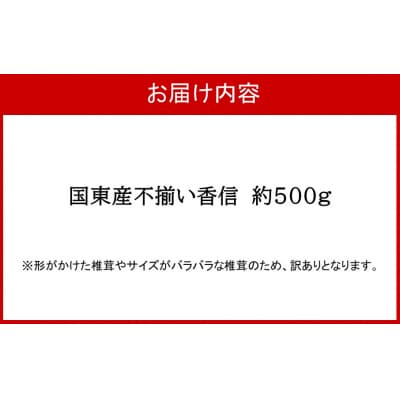 【訳あり】国東産不揃いしいたけ約500g(香信)_2633R-2
