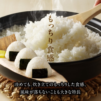 【令和7年産】つやっつやの大分県産つや姫10kg(5kg×2袋)_2650R