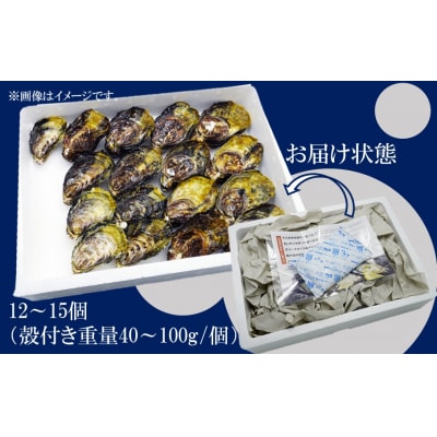 生食用殻付き牡蠣「くにさきオイスター」12～15個(殻付き重量40～100g/個)_2112R