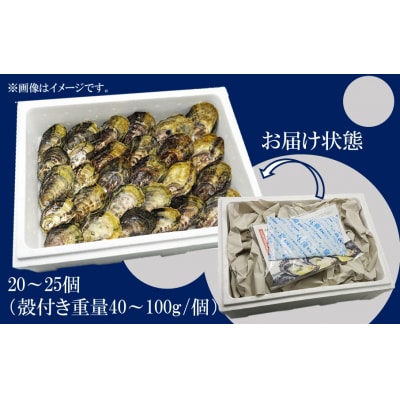 牡蠣 生食用 くにさきオイスター 20～25個(殻付き重量40～100g/個)_2113R-1