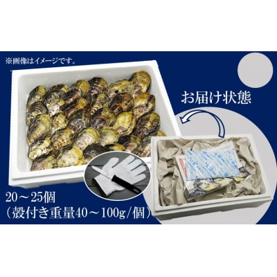 生食用くにさきオイスター20～25個(殻付き重量40～100g/個)牡蠣ナイフ付き_2113R-2