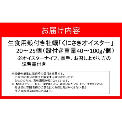 生食用くにさきオイスター20～25個(殻付き重量40～100g/個)牡蠣ナイフ付き_2113R-2