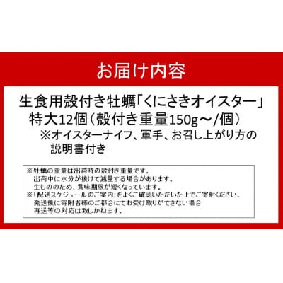 牡蠣 生食用 くにさきオイスター特大12個(殻付き重量150g～/個)牡蠣ナイフ付き_2361R-2