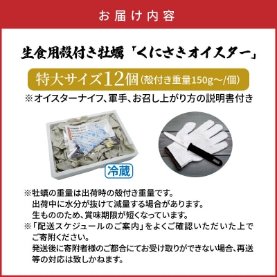 牡蠣 生食用 くにさきオイスター特大12個(殻付き重量150g～/個)牡蠣ナイフ付き_2361R-2