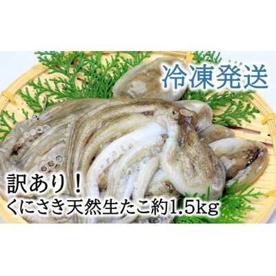【訳あり】くにさき天然冷凍生たこ約1.5kg_2653R-2