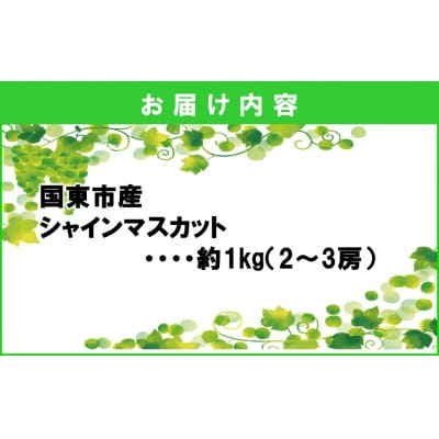 【先行受付】農家直送!新鮮!朝づみシャインマスカット約1kg令和8年産_2537R-1