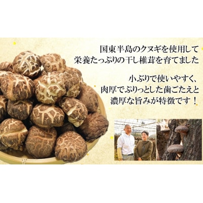 国東産どんこ干し椎茸 約300g(50g×6袋)_2654R-2