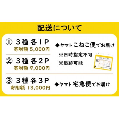 大分きのこのレトルトセット(カレー、炊き込みご飯の素、パスタソース各2P)合計6P__2651R-2