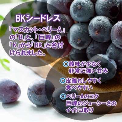 【令和8年発送】農家直送! 新鮮! 朝づみぶどう BKシードレス 約1kg_2657R-1