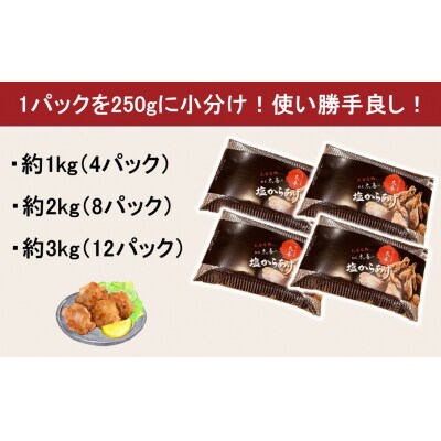 からあげグランプリ金賞受賞!選べる容量 塩からあげ3kg_2660R-3