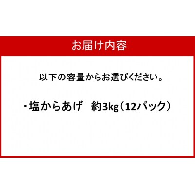 からあげグランプリ金賞受賞!選べる容量 塩からあげ3kg_2660R-3