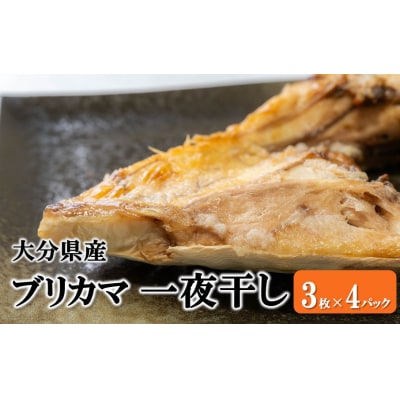 大分県産ブリカマ 一夜干し 3枚×4パック_2661R-2